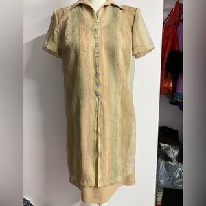 Expo Petite Women’s Vintage Dress, 4P, Sheer Overlay, Tan/Natural Shades